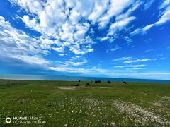 -青海湖国家重点风景名胜区