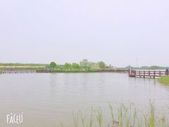 -西青郊野公园