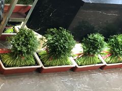 -海鸿荟·沿江菜(中山北路店)