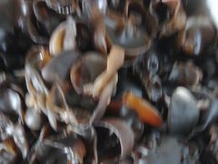 -宾朋海鲜特色美食餐厅·纯手工鲅鱼水饺(兴海路店)