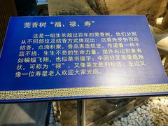 -中国沉香文化博物馆