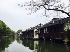 -乌镇东栅景区
