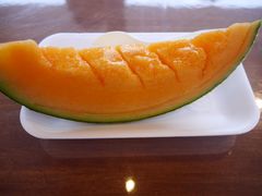 -富田农场