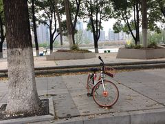 -西北湖绿化广场