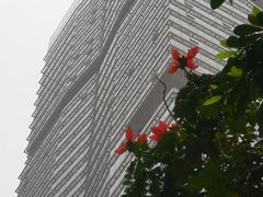 -富力中心