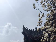 -西安市广仁寺