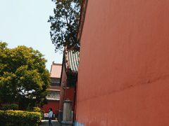 -药王庙(安国市)