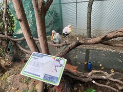-正佳雨林生态植物园