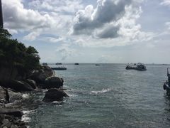 -珊瑚岛
