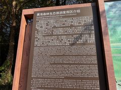 -黄海国家森林公园