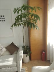 -HEYAN荷妍专业脱毛连锁机构