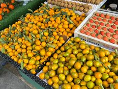 -南坛综合农贸市场