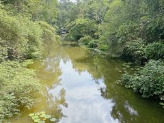-中国科学院西双版纳热带植物园