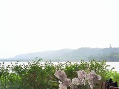 -湖畔居茶楼(湖滨店)