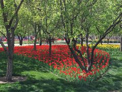 -长春公园(普阳街道)