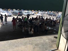-龙门李家三旦羊肉汤馆