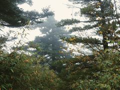 -秦岭风景区
