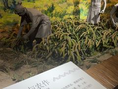 -烟台市博物馆