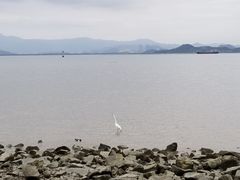 -深圳湾公园(南山区)