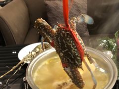 -圣丰索菲特·2 On 988 Café 自助餐厅