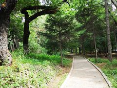 -长春市南湖公园