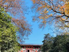 -灵谷景区
