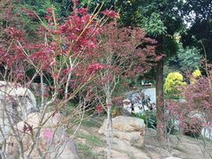 -广州市帽峰山景区