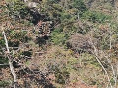 -明堂山风景区