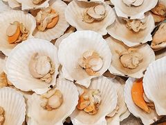 -粤海璇宫·木棉花高空旋转餐厅·聚会派对