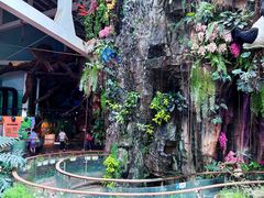 -正佳雨林生态植物园