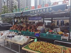 -长白岛森林公园