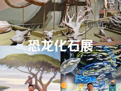 -柳州白莲洞洞穴科学博物馆