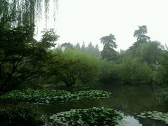 -杭州西湖桔子水晶酒店