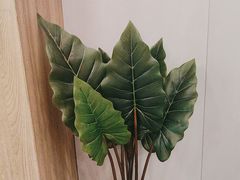 -探窝·竹笙椰子鸡(车陂店)