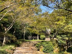 -南山植物园