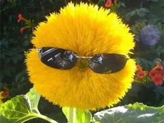 -肯德基(东直门来福士店)