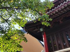 -灵谷景区