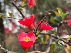 -重庆中央公园(渝北区)