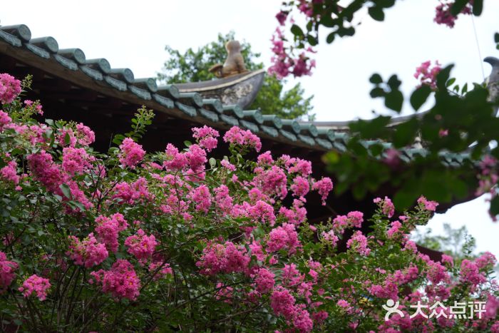 光孝寺图片