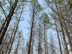 -南京金牛湖风景区