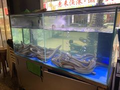 -本炙炭烤·蒲烧活鳗料理店(金沙洲店)