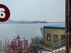 -望湖烤鱼