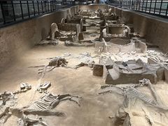 -洛阳周王城天子驾六博物馆