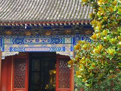 -法门文化景区