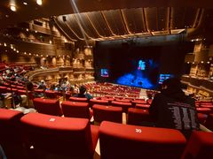 -交通银行前滩31演艺中心