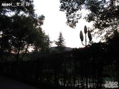 花家1-杭州花家山庄