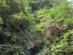 -石台牯牛降景区