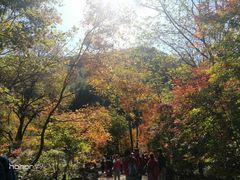 -参仙谷生态旅游度假区