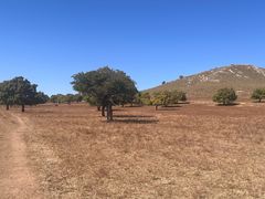 -五角枫生态旅游景区