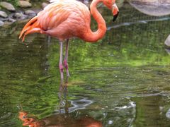 -广东茂名森林公园